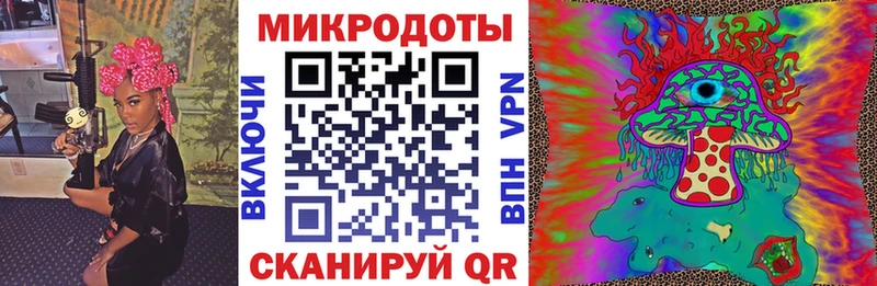 Псилоцибиновые грибы Psilocybine cubensis где можно купить наркотик mega ТОР Отрадный