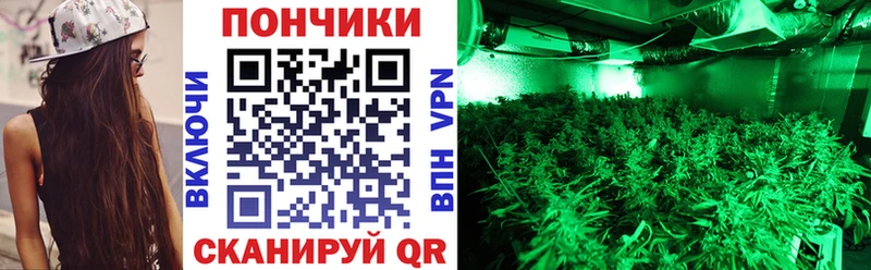 Шишки марихуана MAZAR  Отрадный 